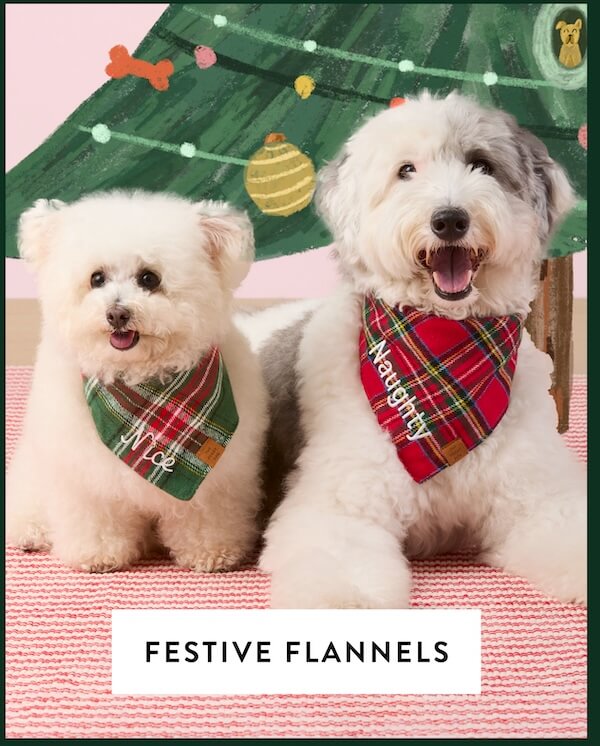 Shop Flannel
