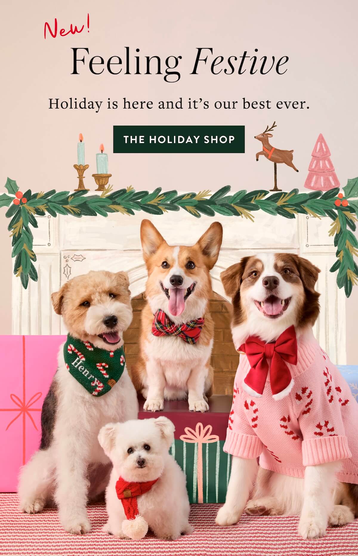 Shop Holiday
