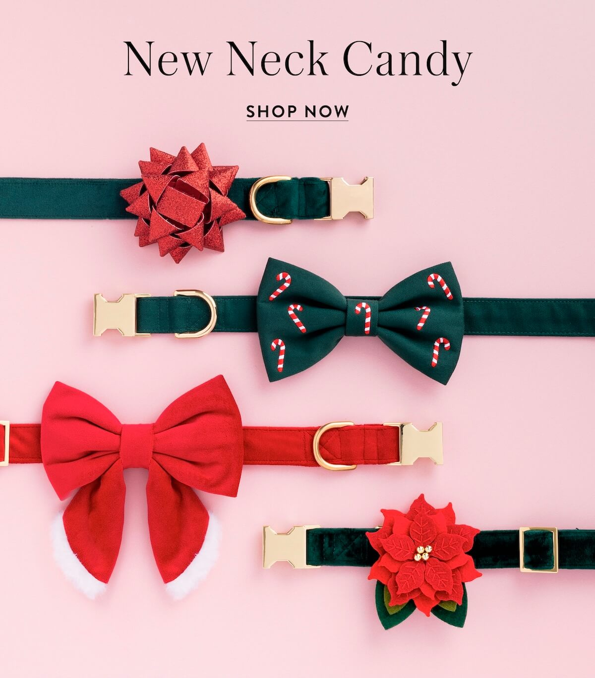 Shop Neck Candy