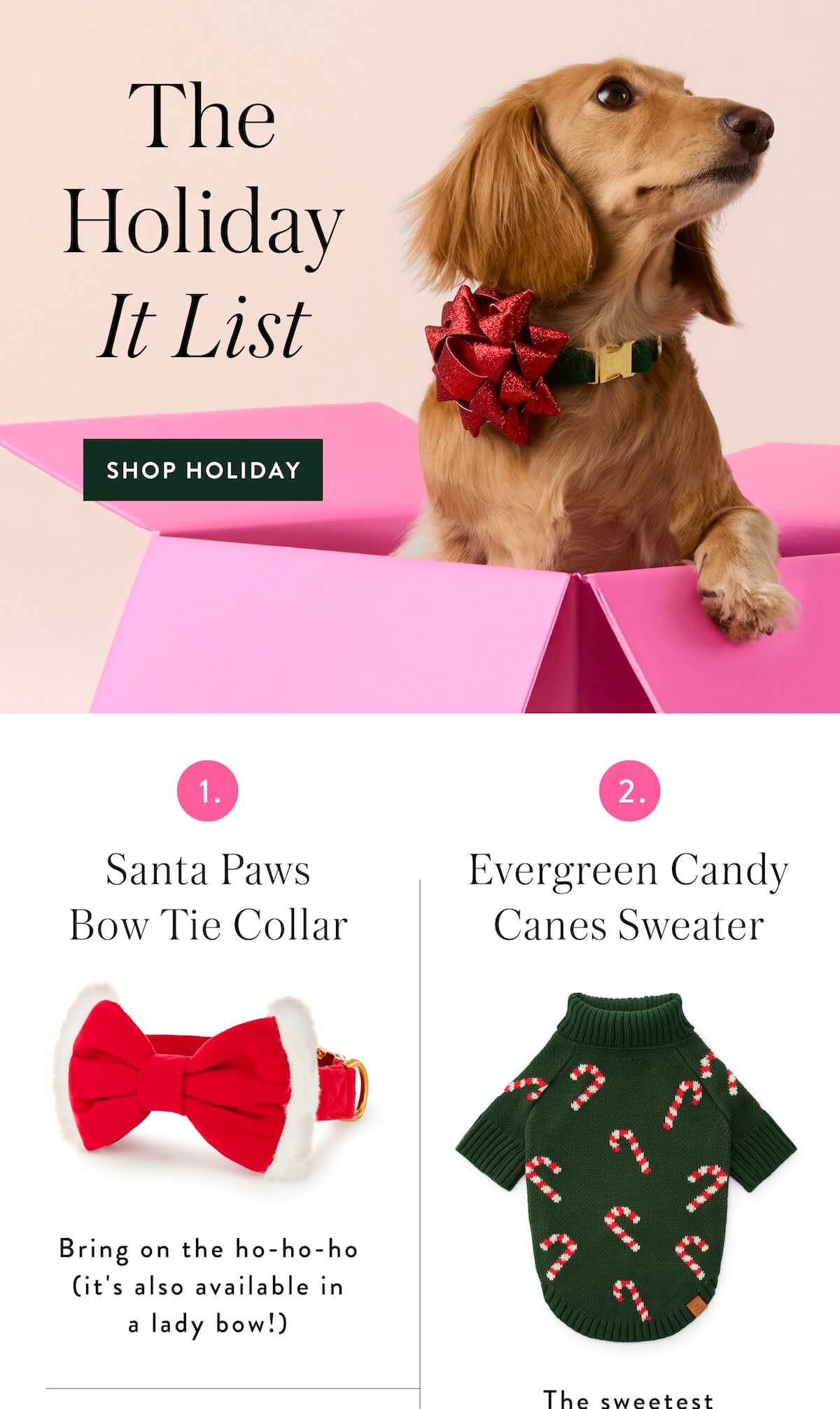 Shop Holiday