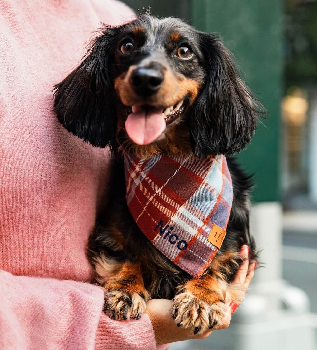 Shop Flannel