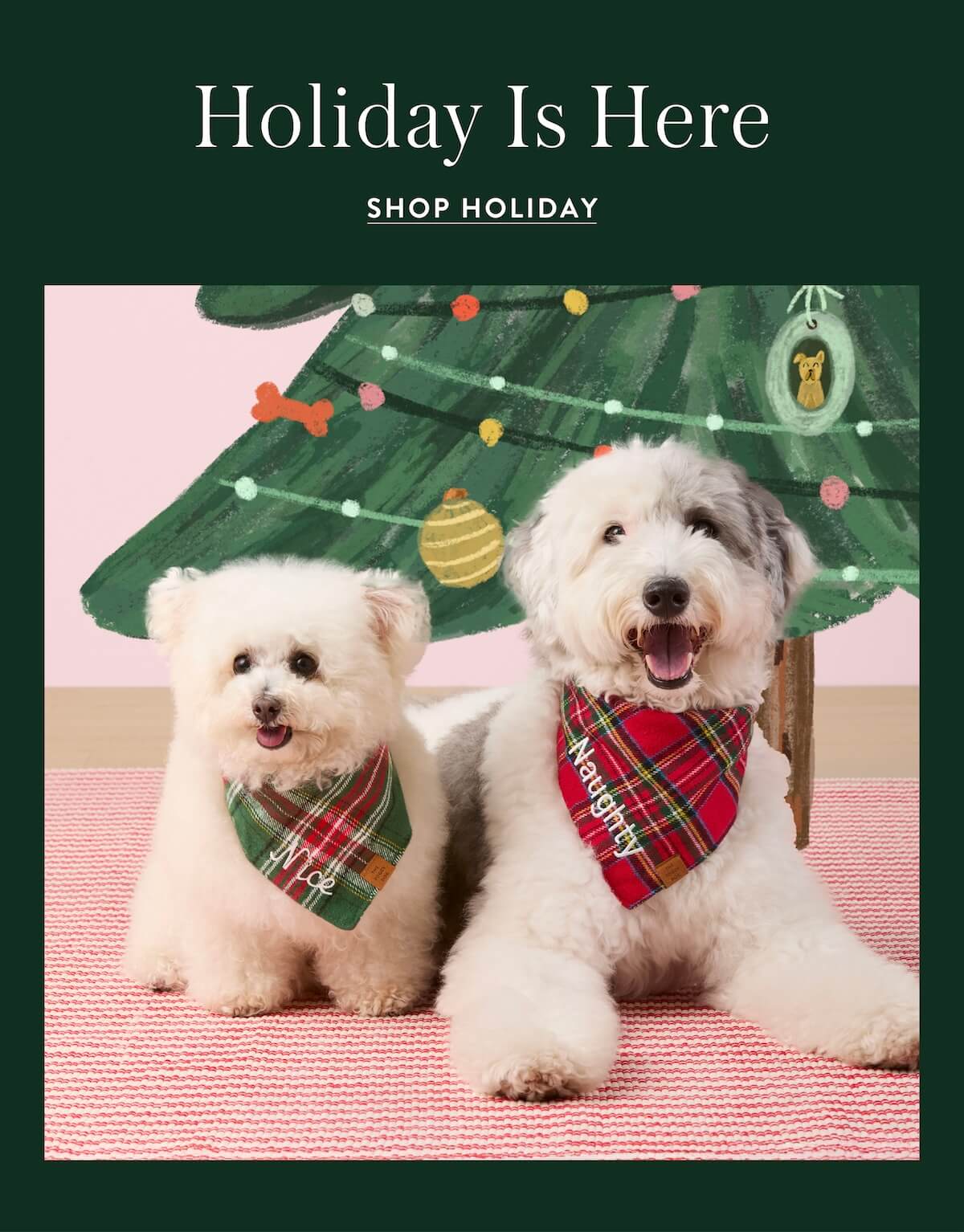 Shop Holiday