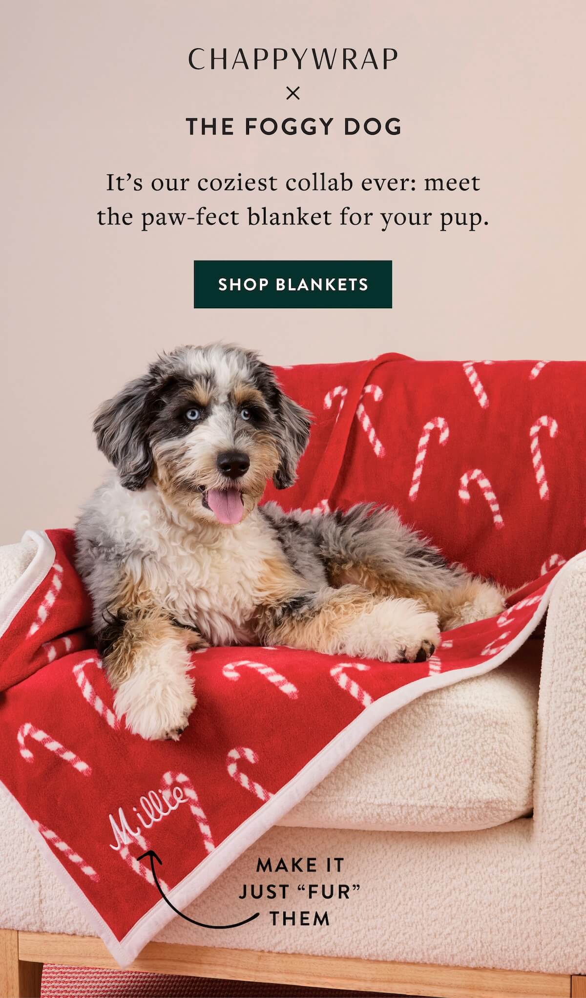 Shop Blankets
