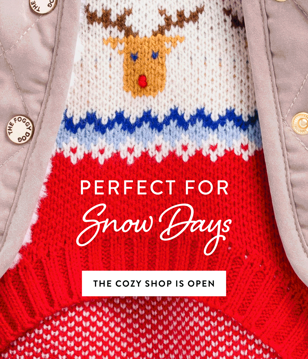 The Cozy Shop