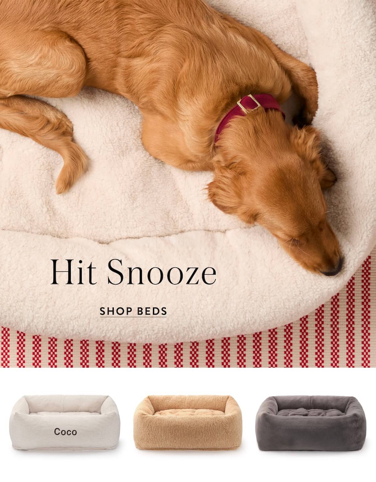 Shop Beds