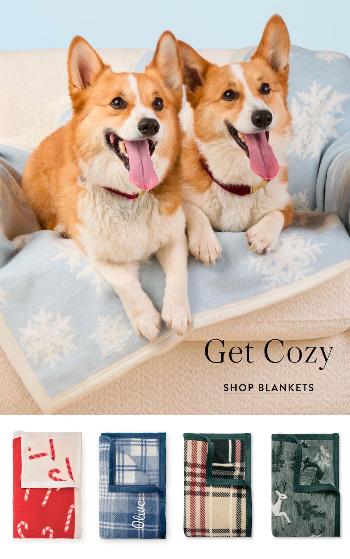 Shop Blankets