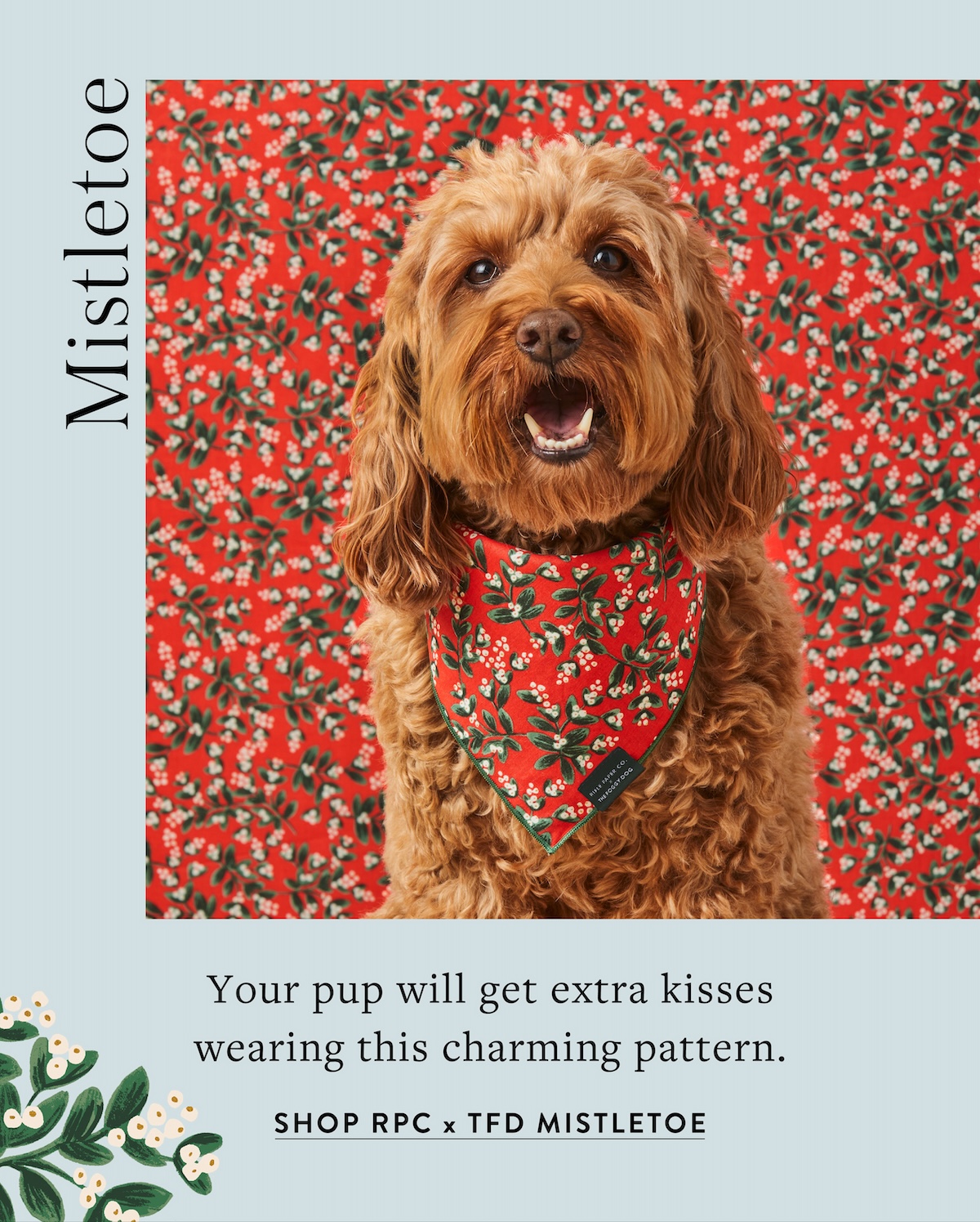 Shop Rifle Paper Co. Mistletoe