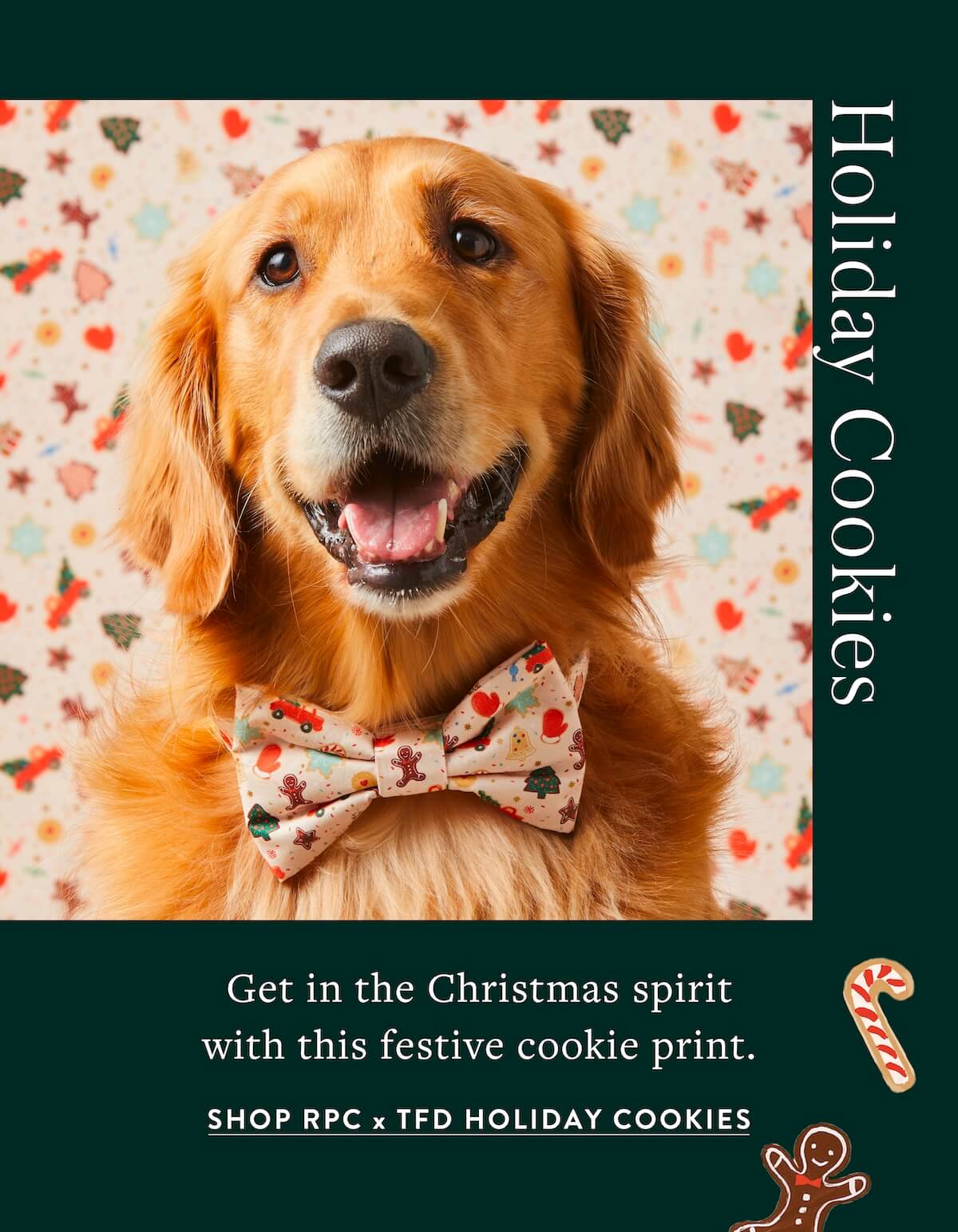 Shop Rifle Paper Co. Holiday Cookies