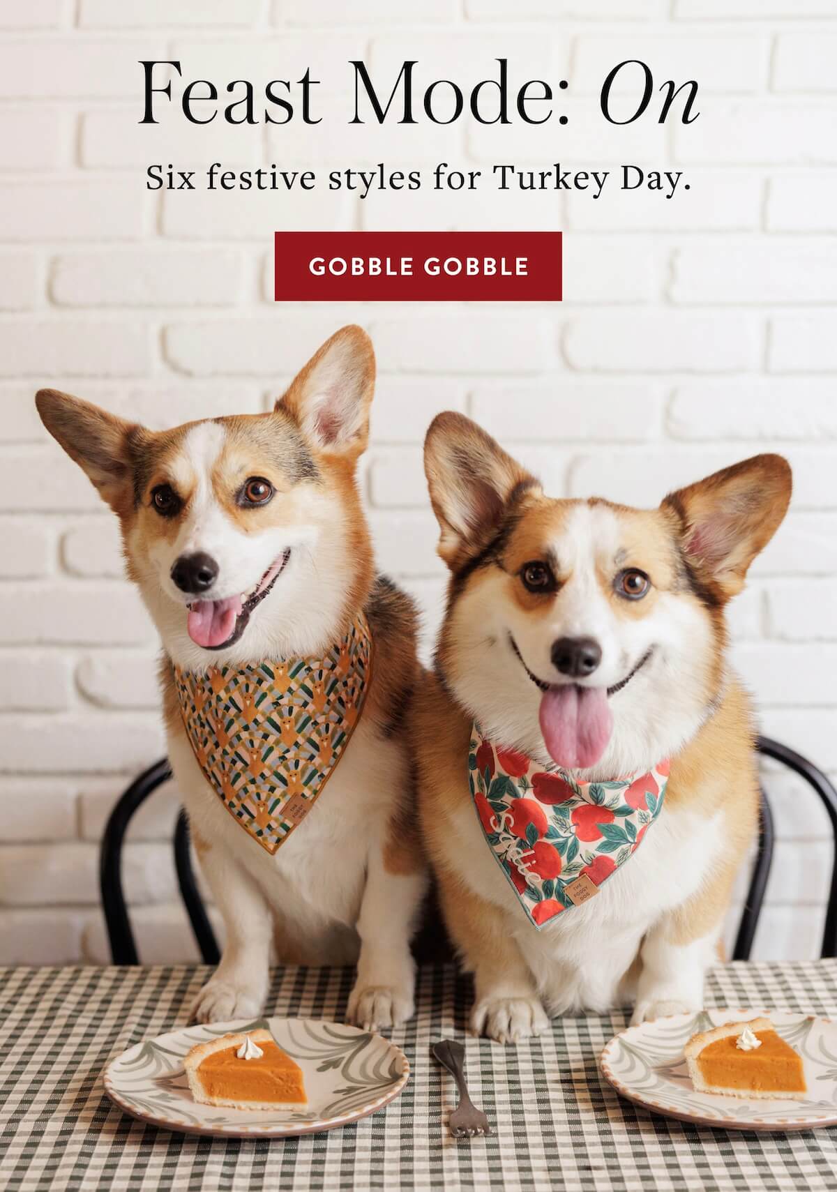 Shop Thanksgiving 