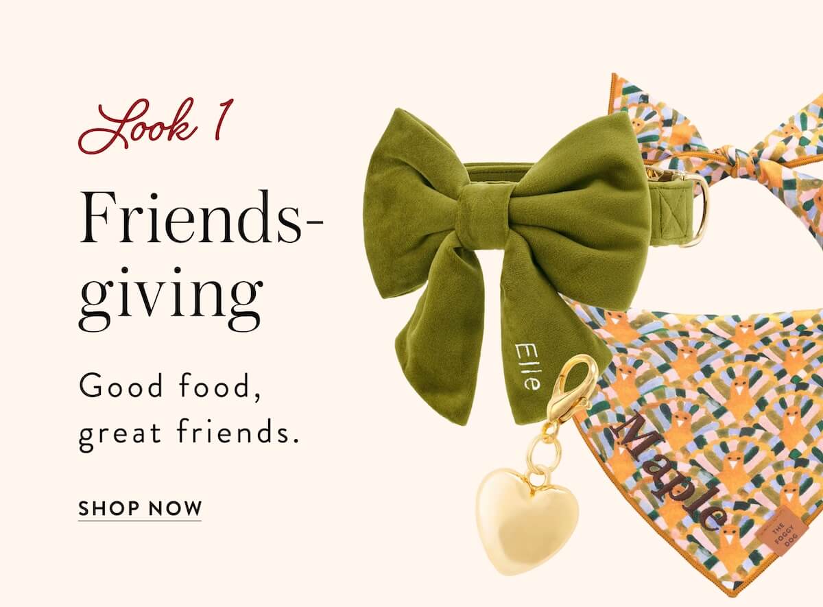 Shop Thanksgiving 