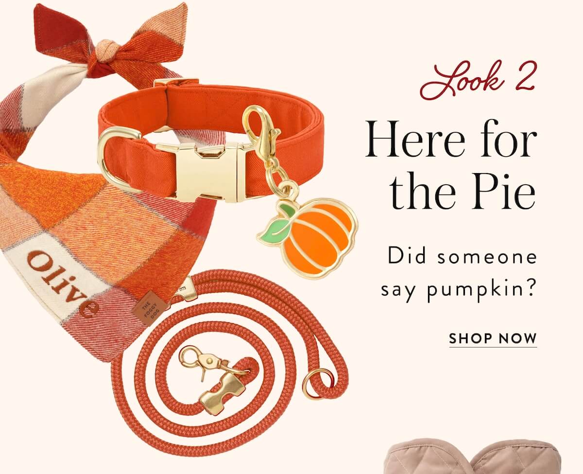 Shop Thanksgiving 