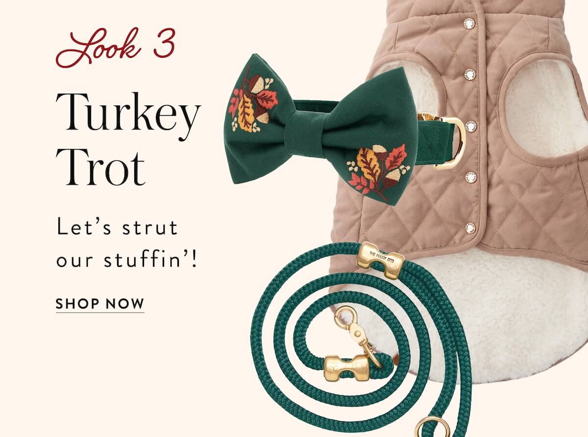 Shop Thanksgiving 