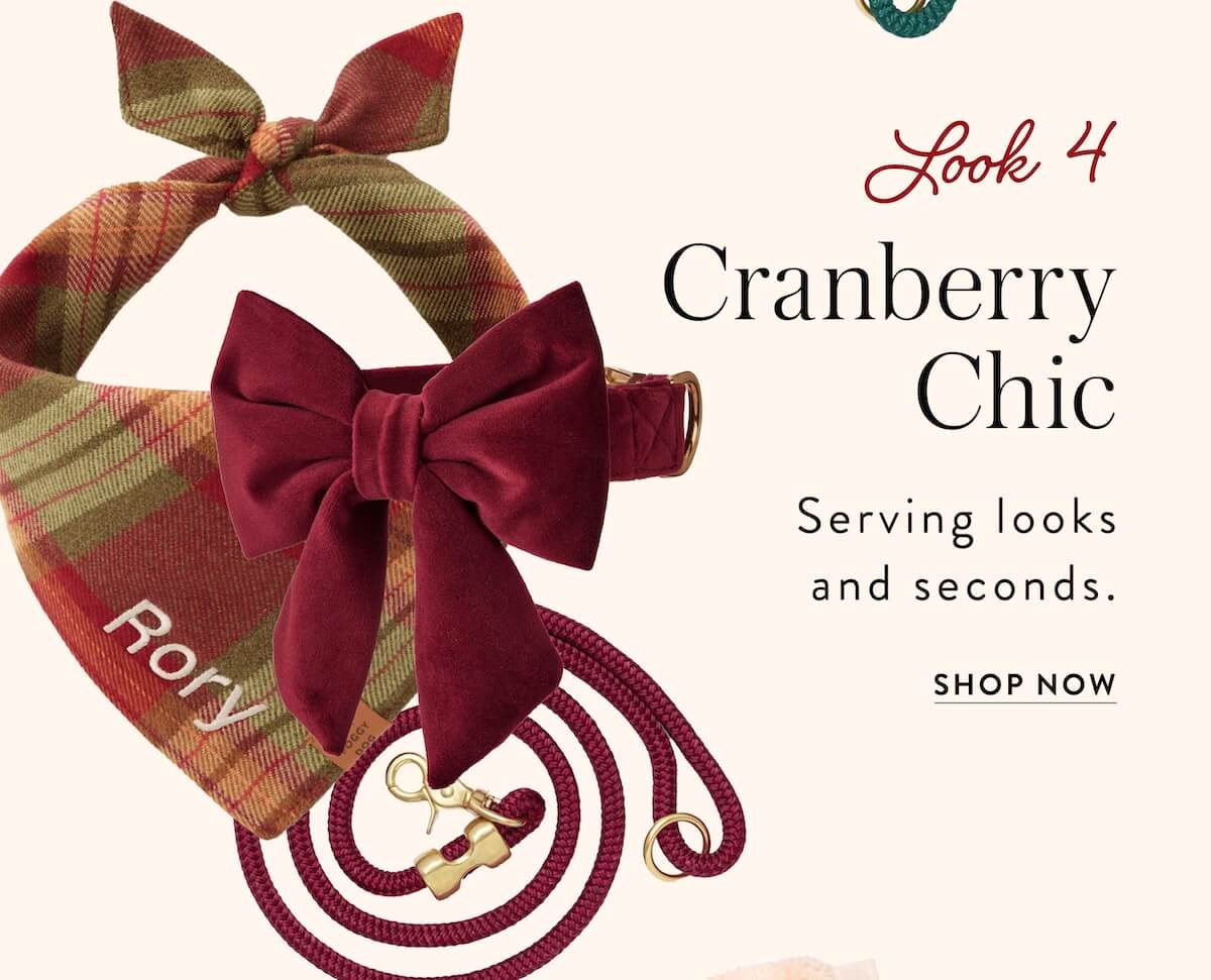 Shop Thanksgiving 