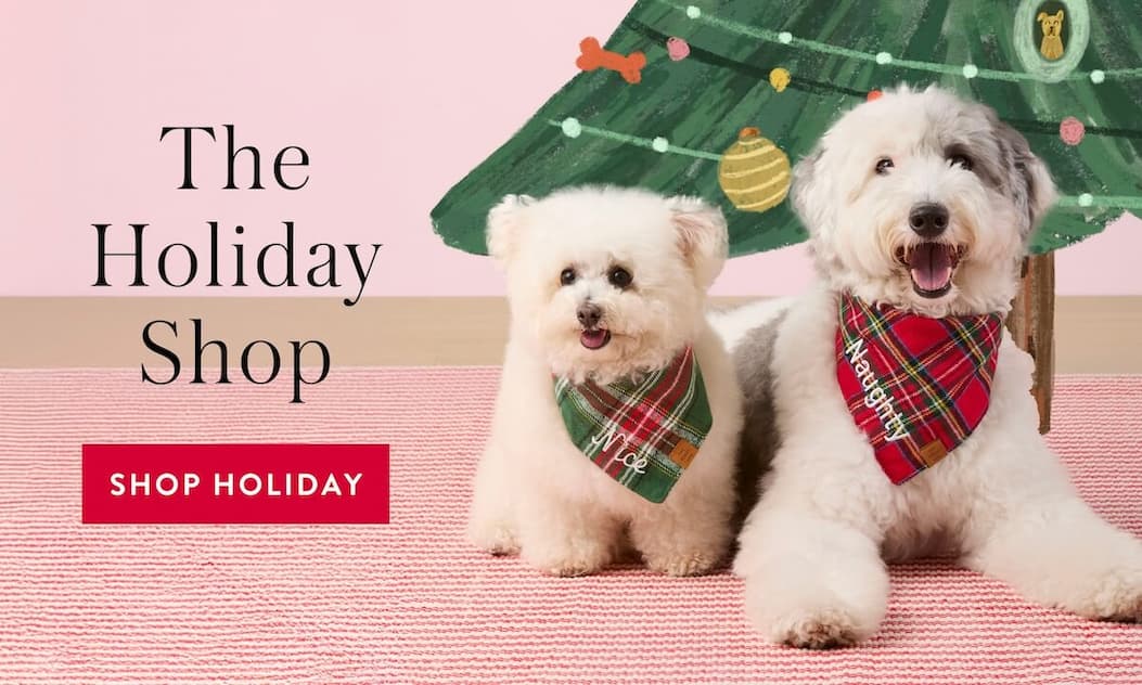 Shop Holiday