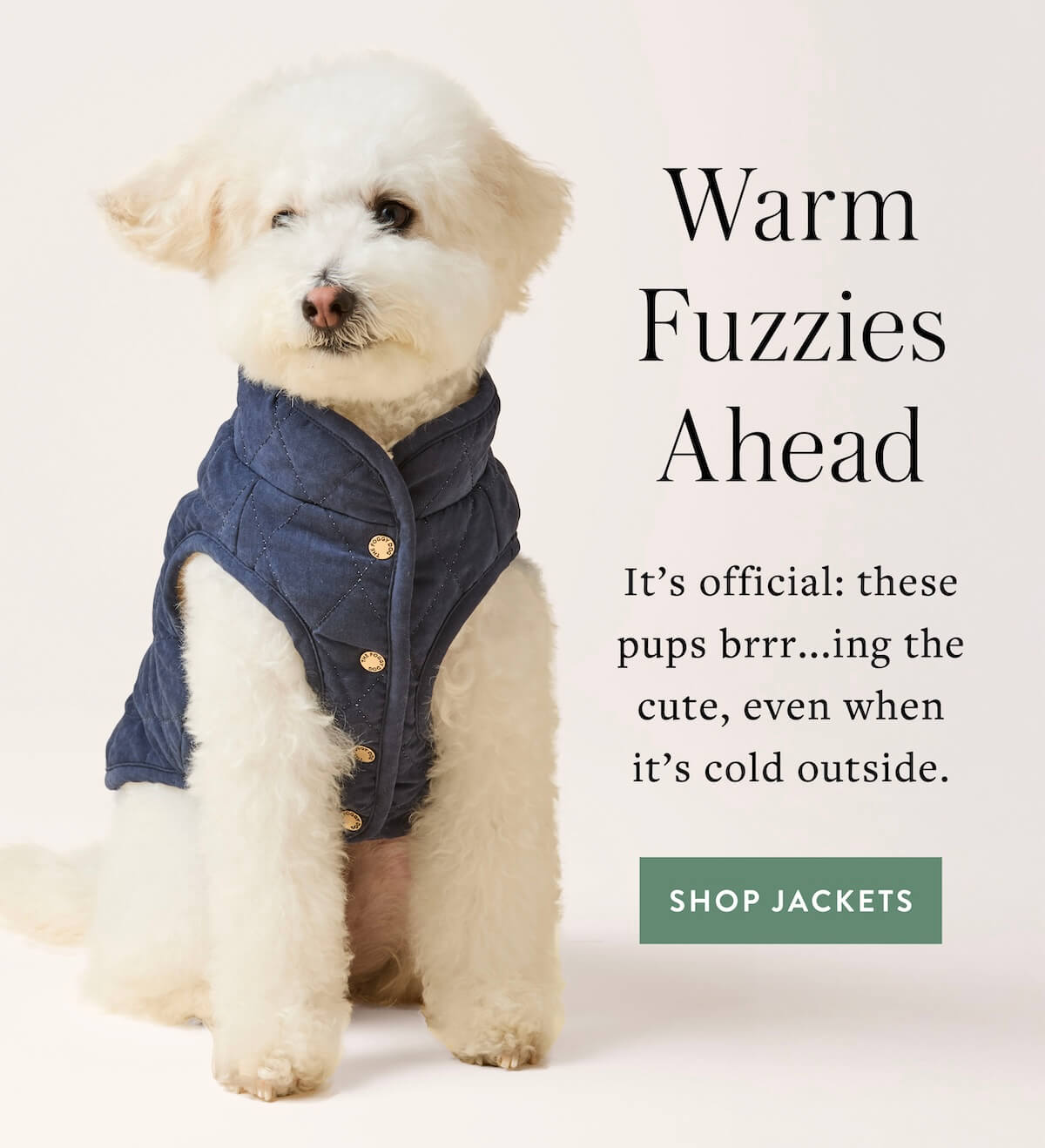 Shop Jackets