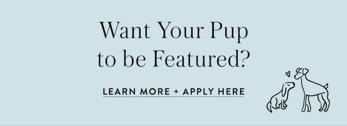 Learn More