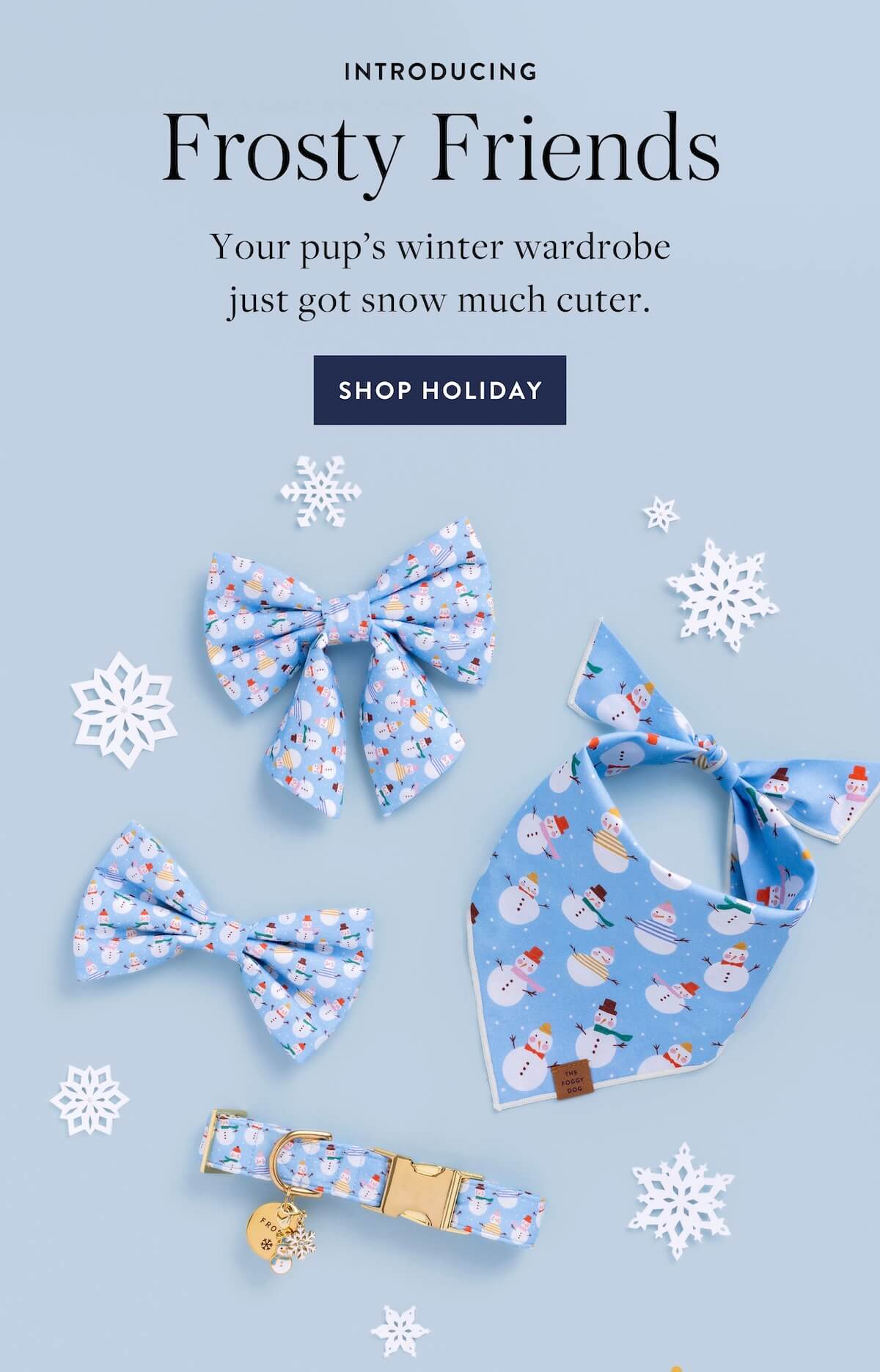 Shop Frosty Friends