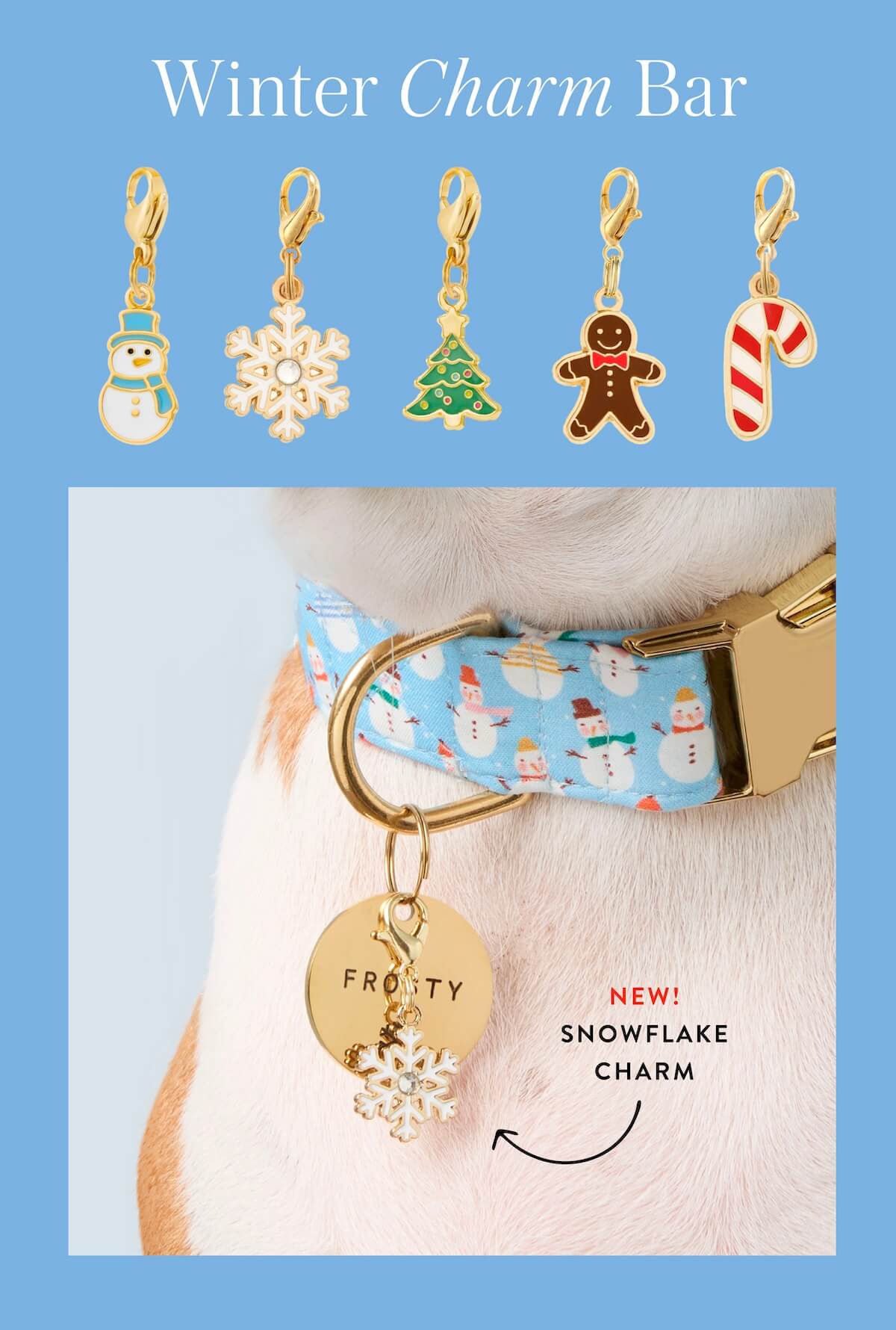 Shop Frosty Friends