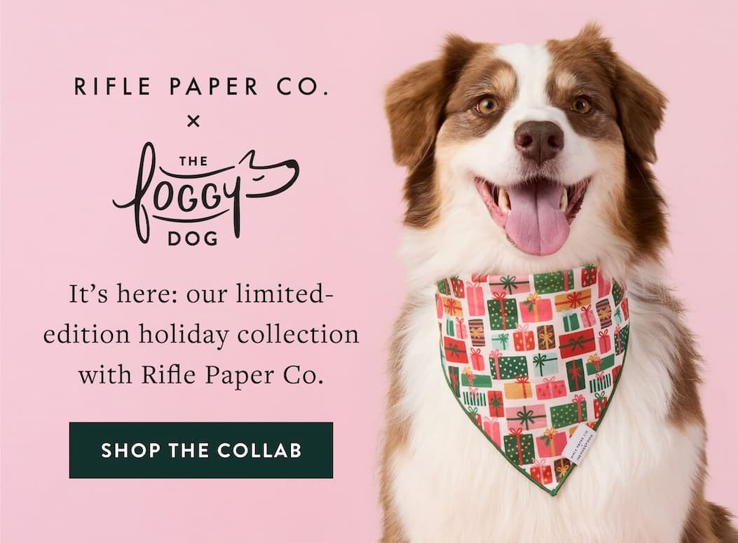 Shop Rifle Paper Co. x TFD