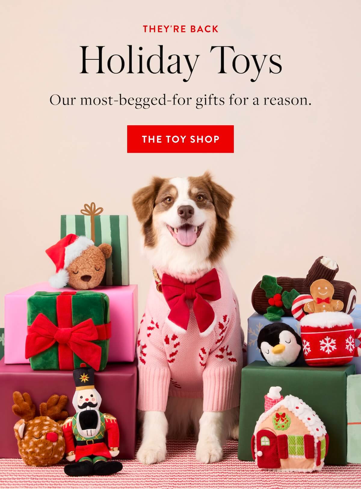 Shop Toys