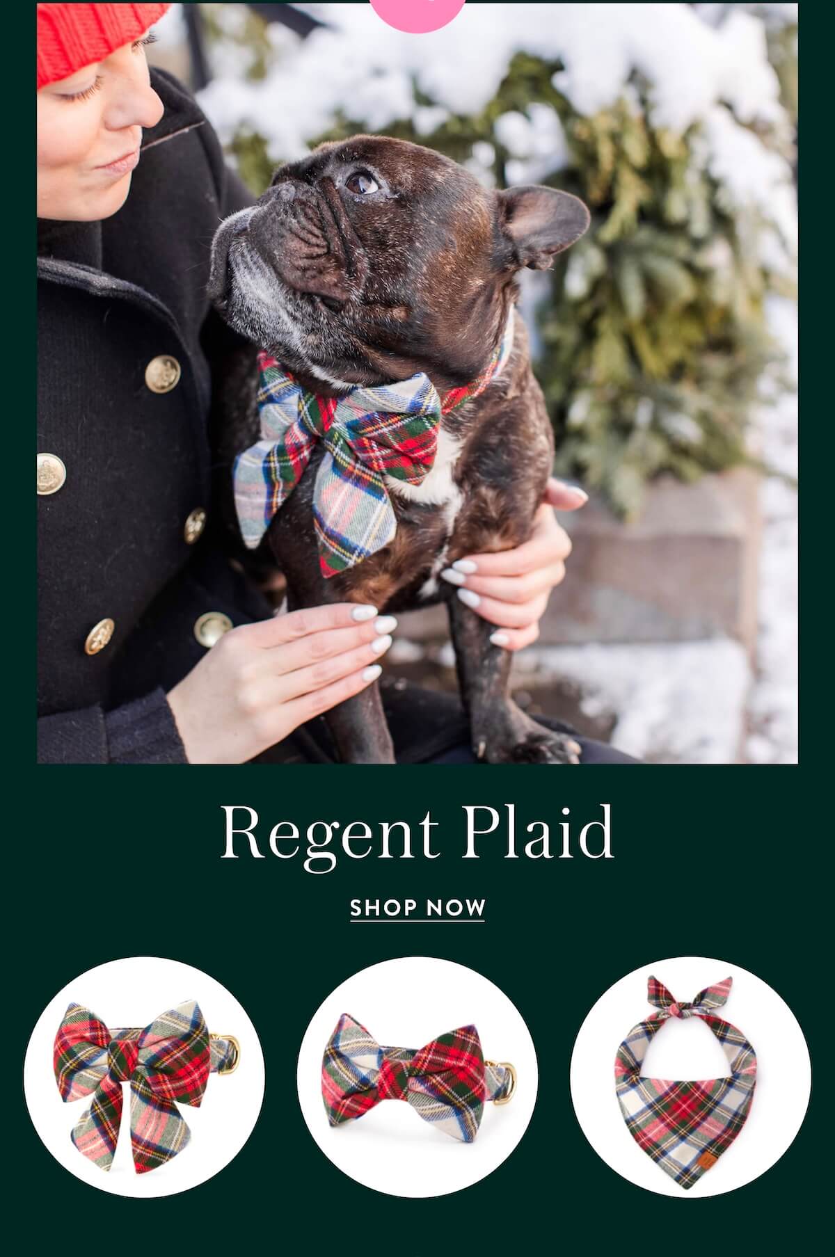 Shop Regent