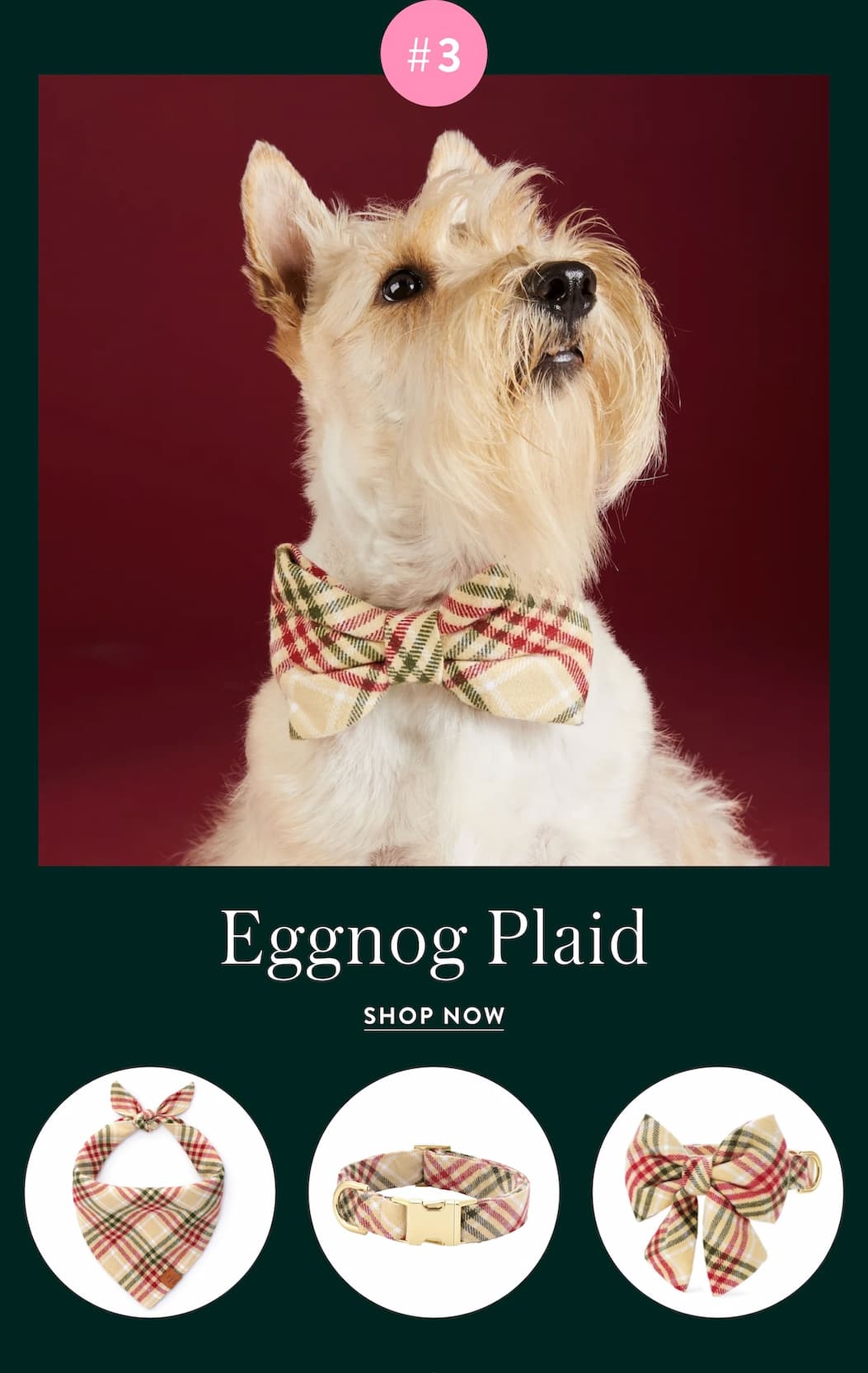 Shop Eggnog Plaid