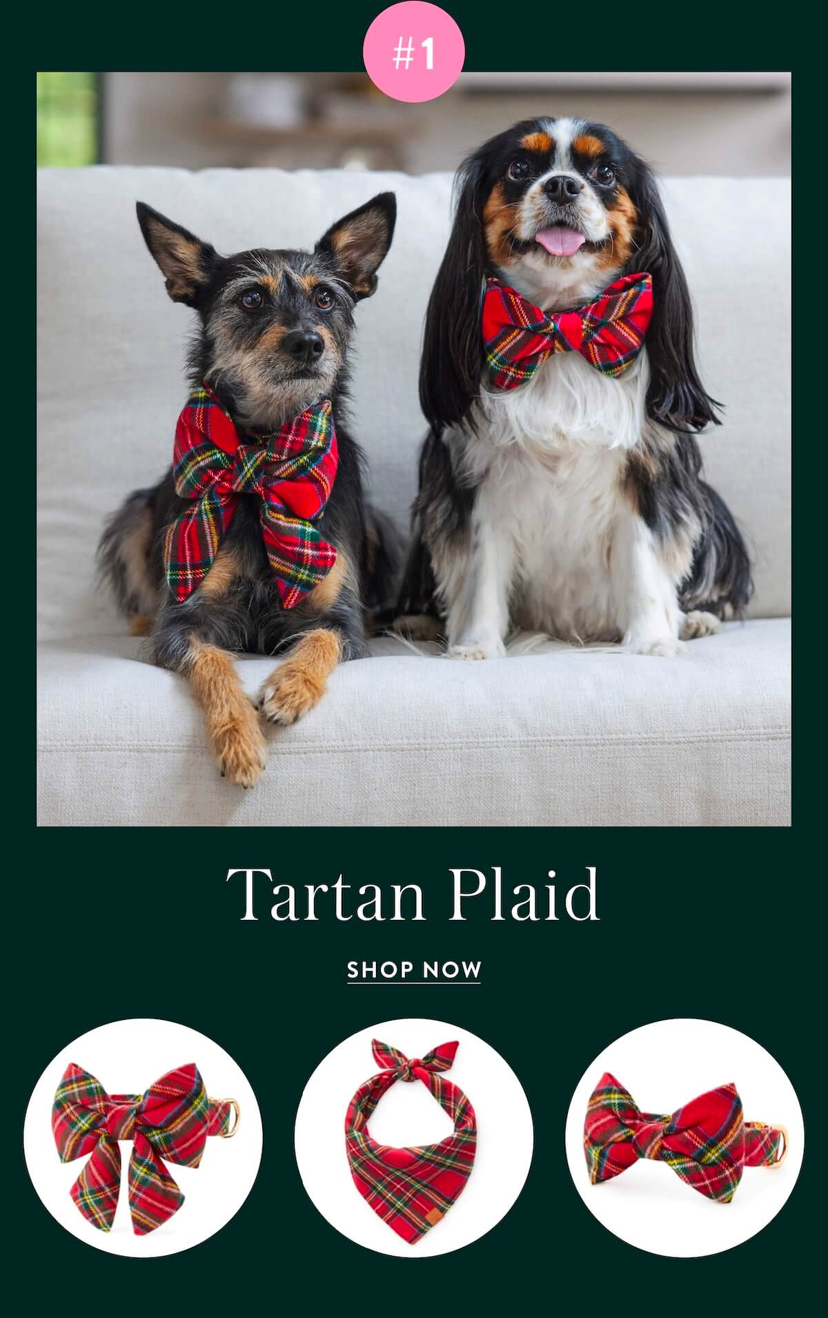 Shop Tartan Plaid