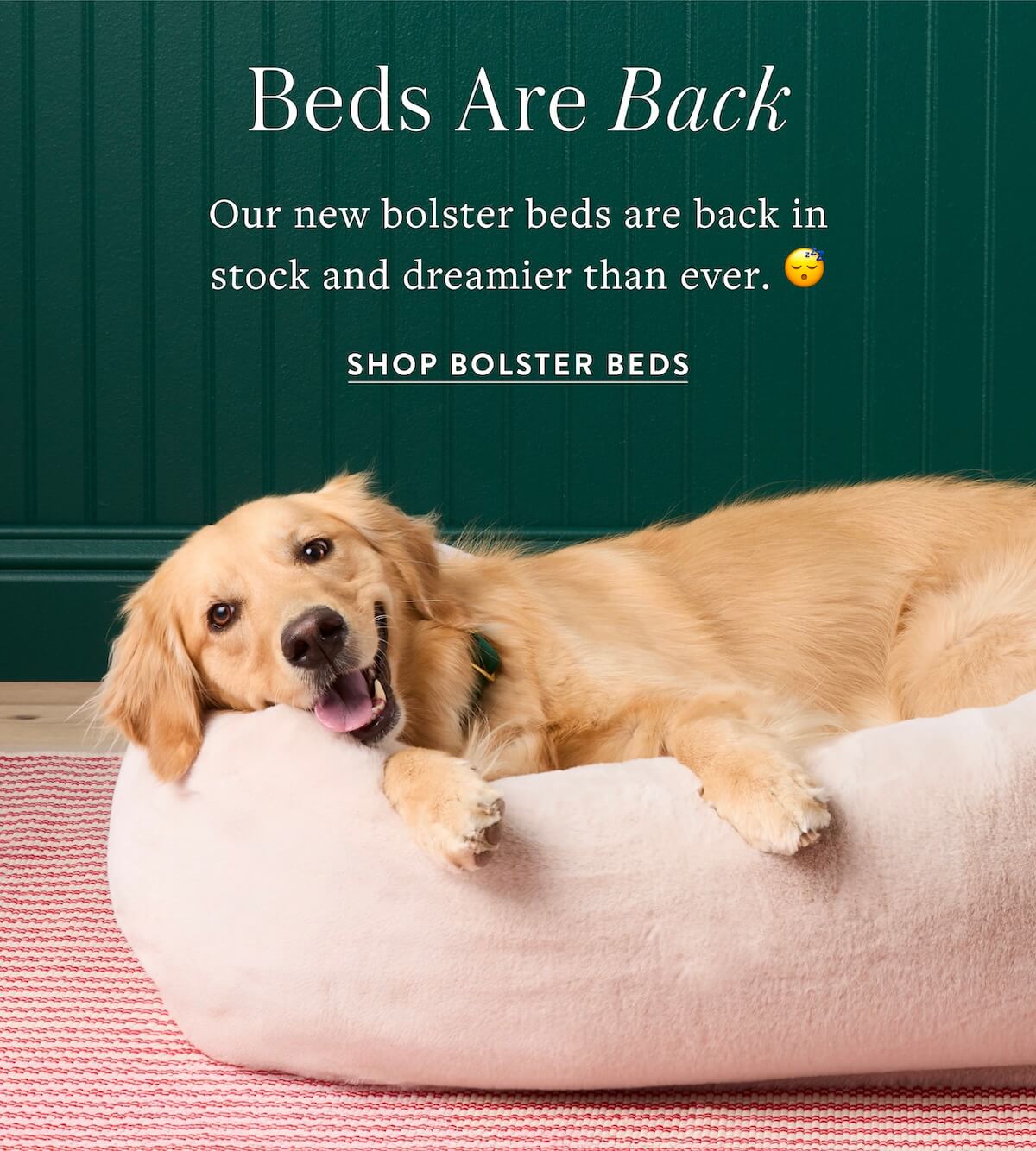 Shop Beds