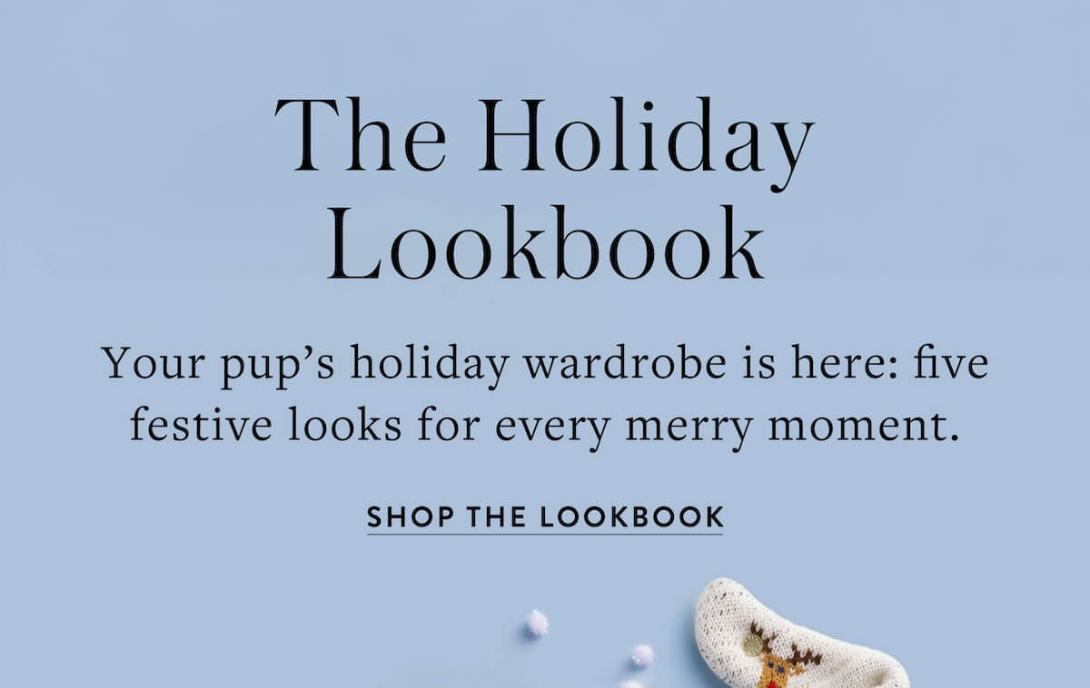Shop the Lookbook
