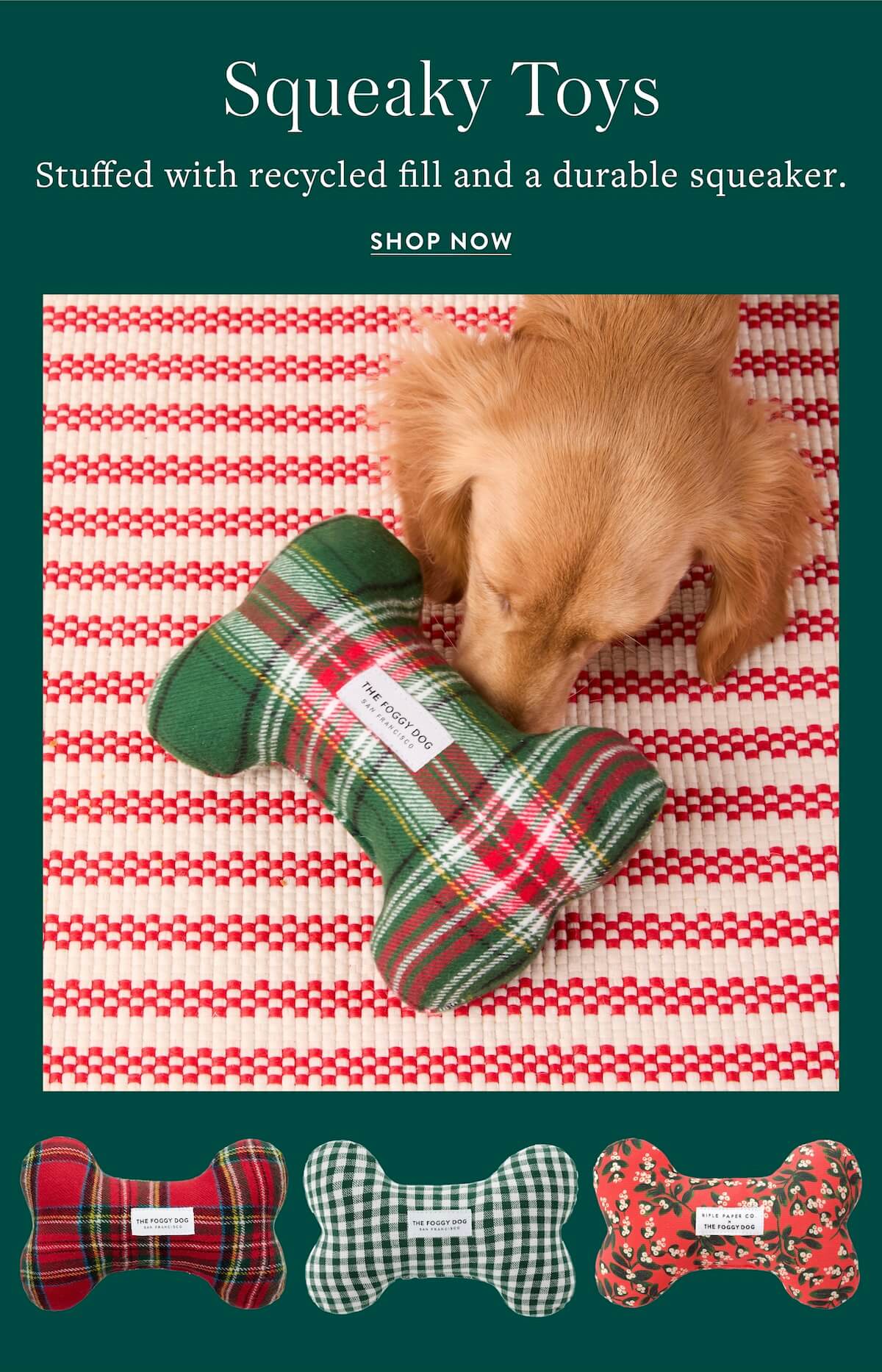 The Squeaky Toys