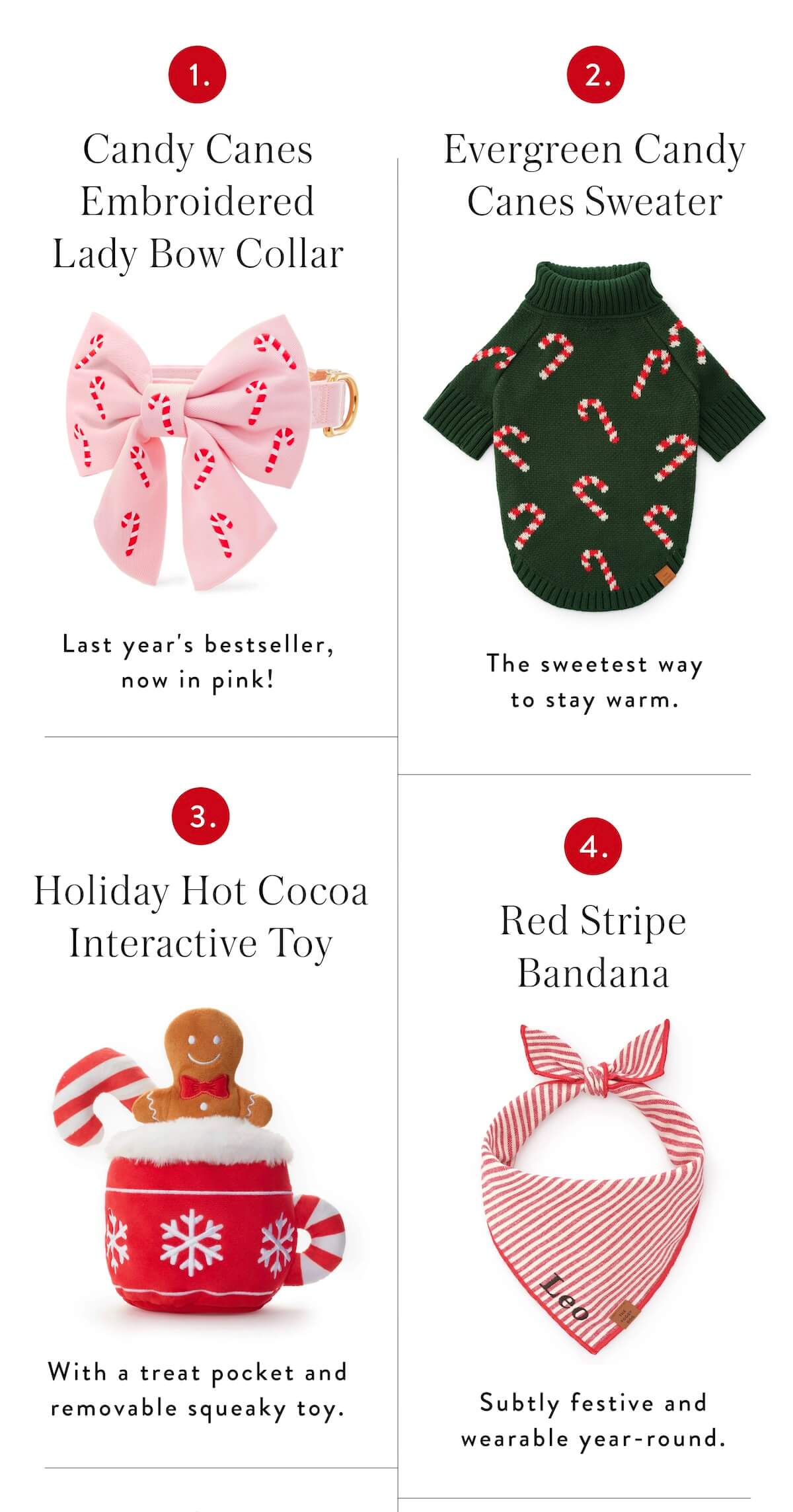 Shop Candy Canes