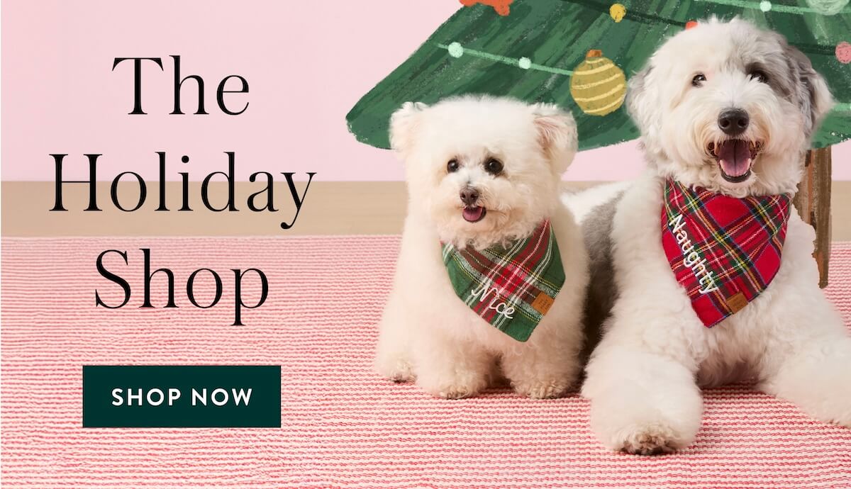 Shop Candy Canes