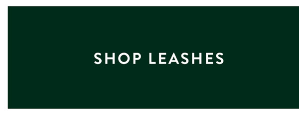 leashes