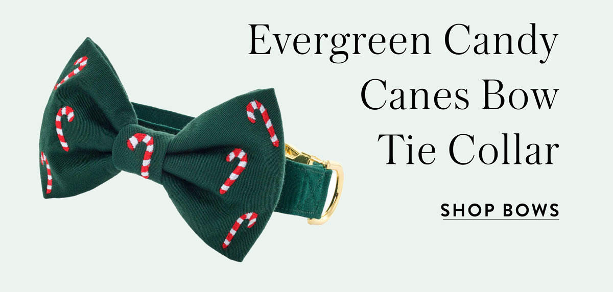 Shop Bows