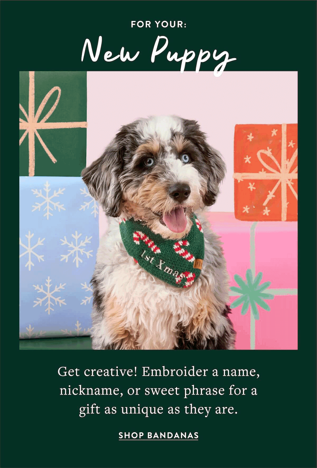 Shop Bandanas