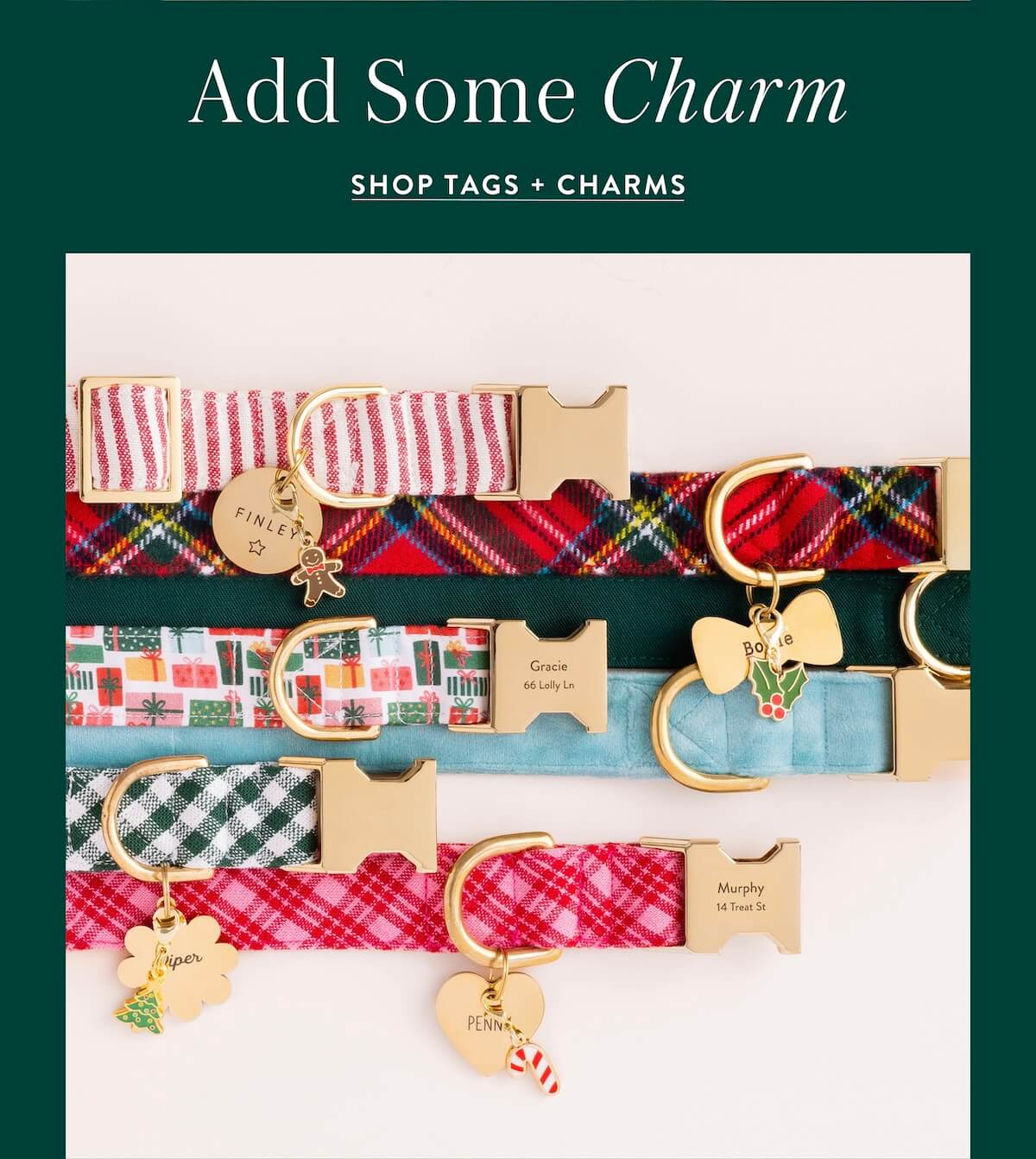 Shop Tags + Charms
