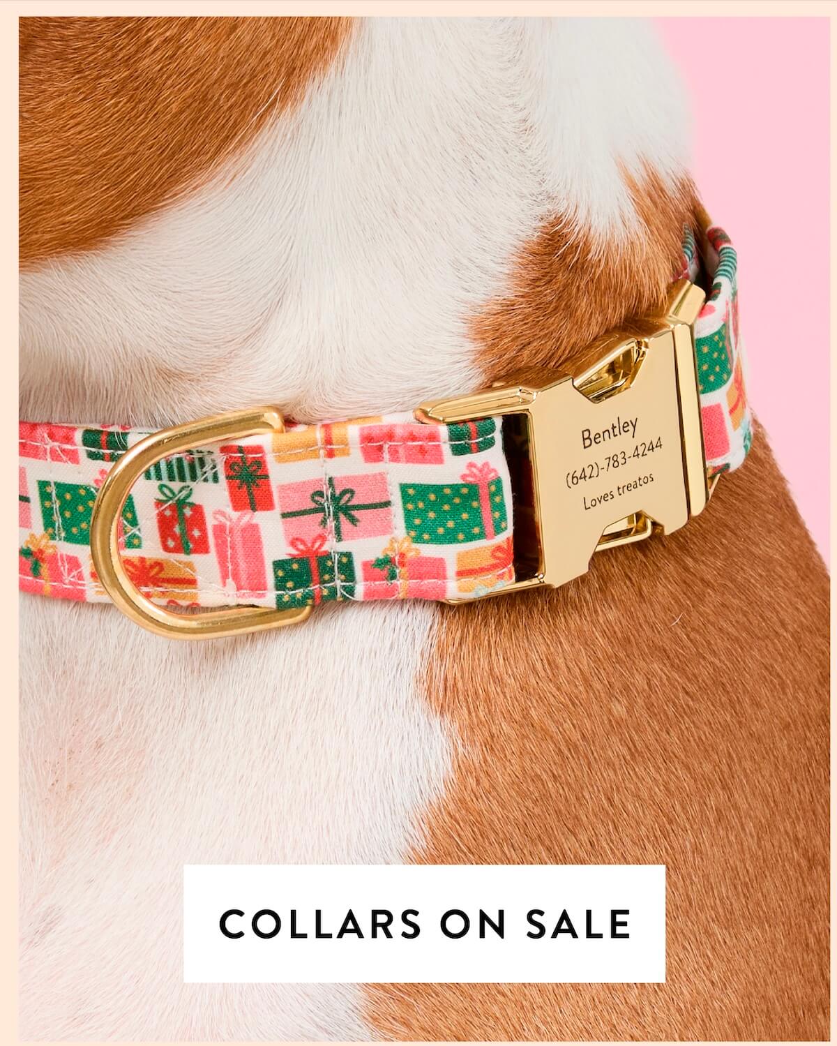 Shop Sale Collars