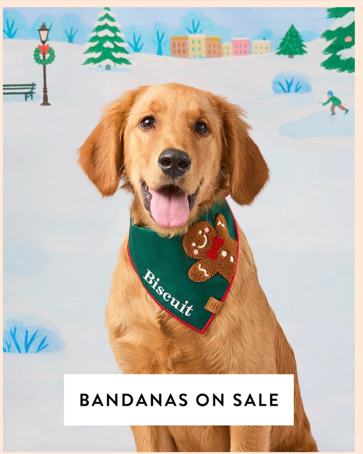 Shop Sale Bandanas