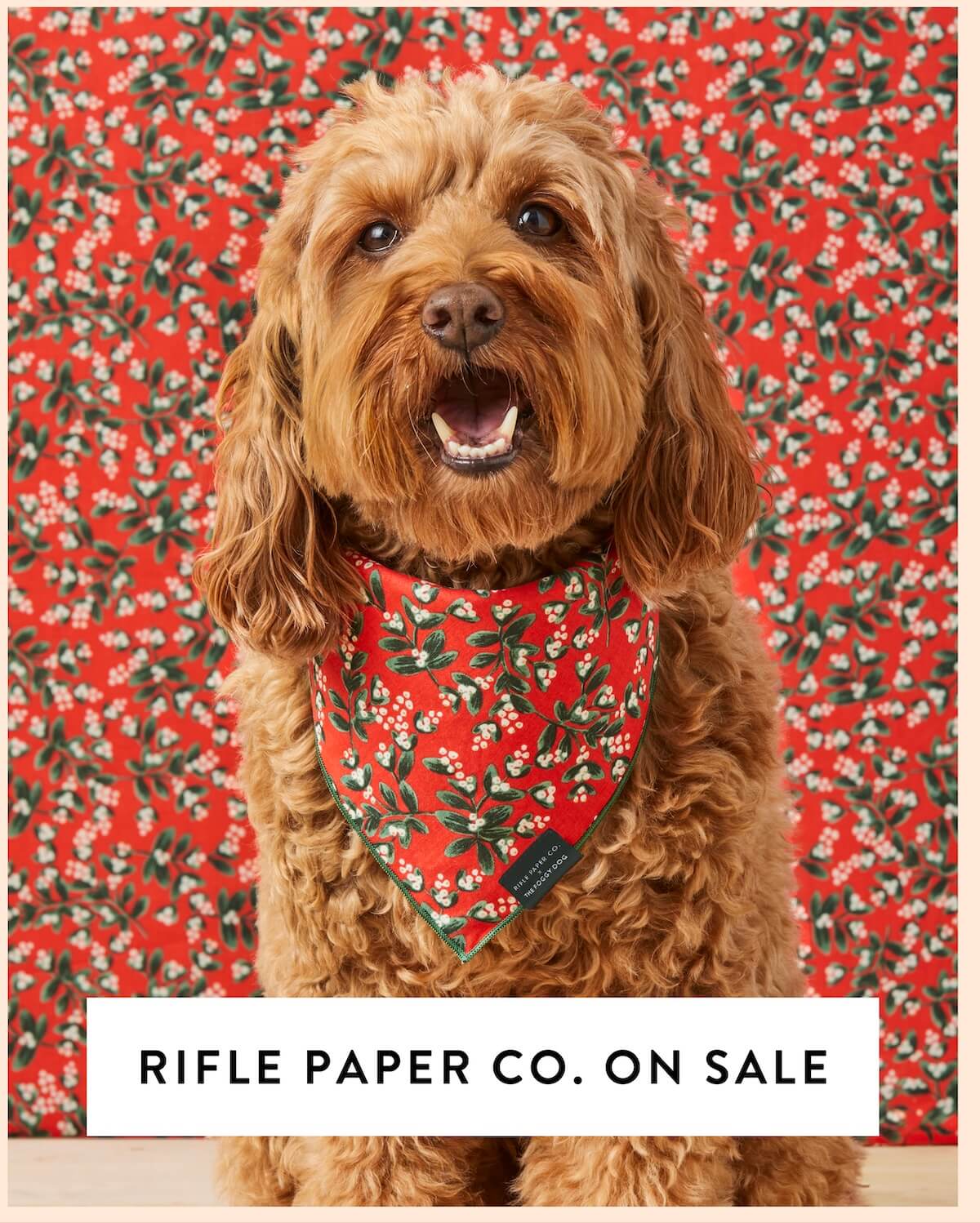 Shop Rifle Paper Co. on Sale