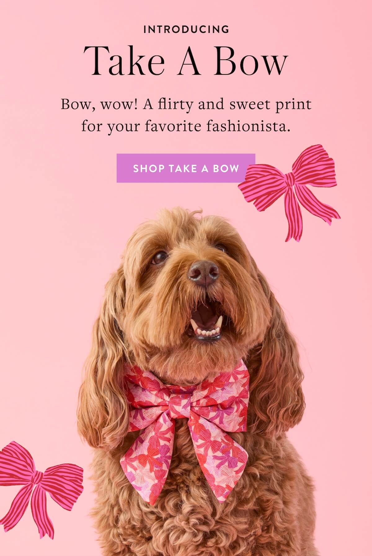 Shop Take A Bow