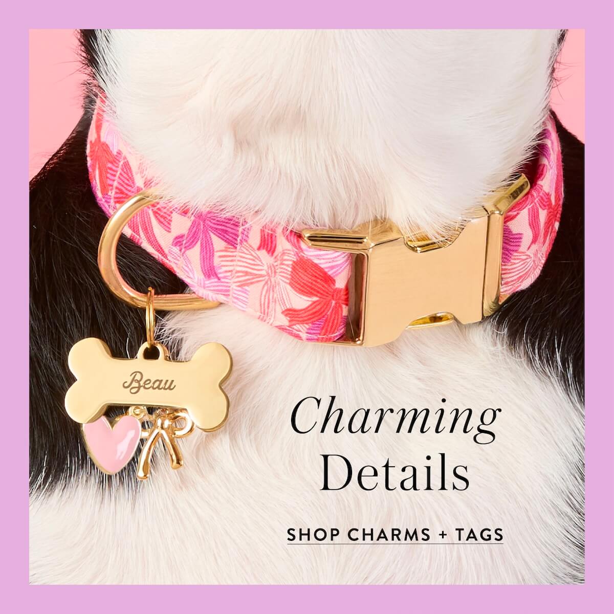 Shop Charms + Tags