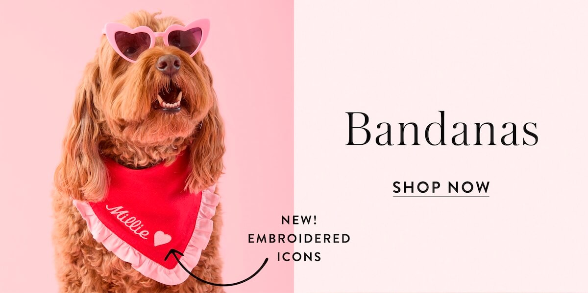 Shop Bandanas