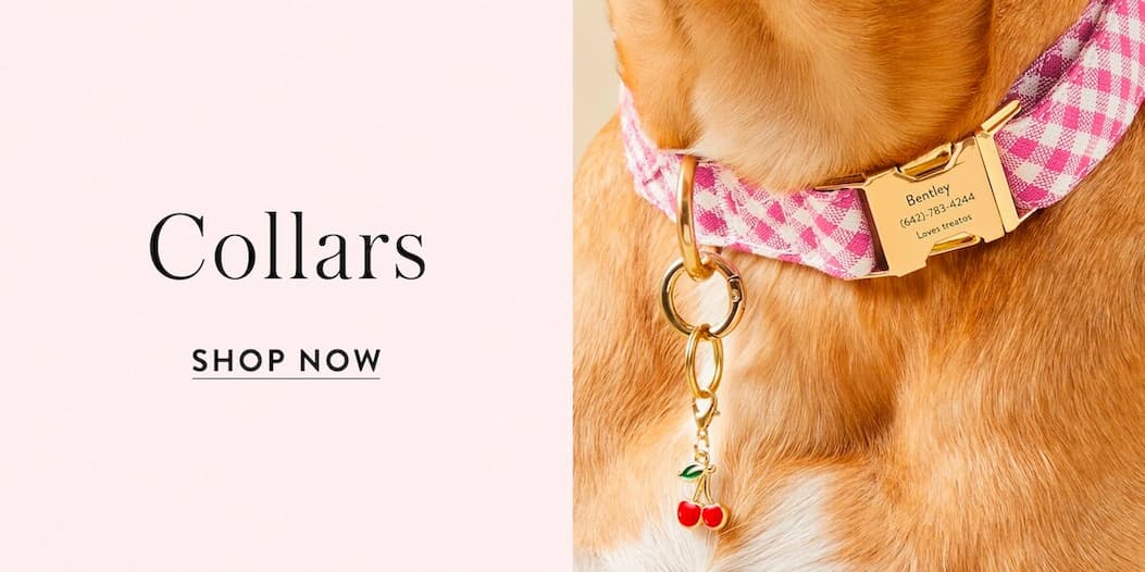 Shop Collars