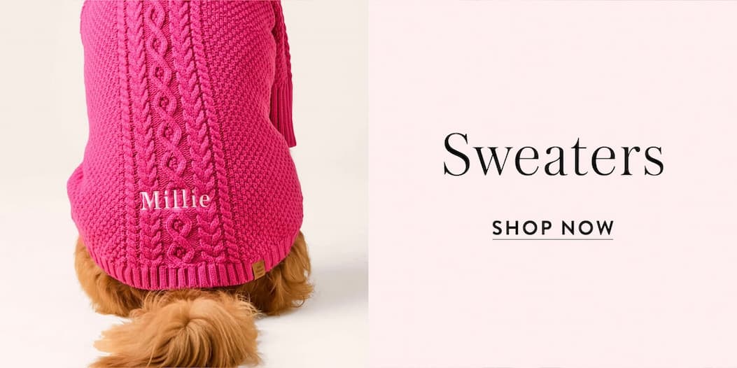 Shop Sweaters