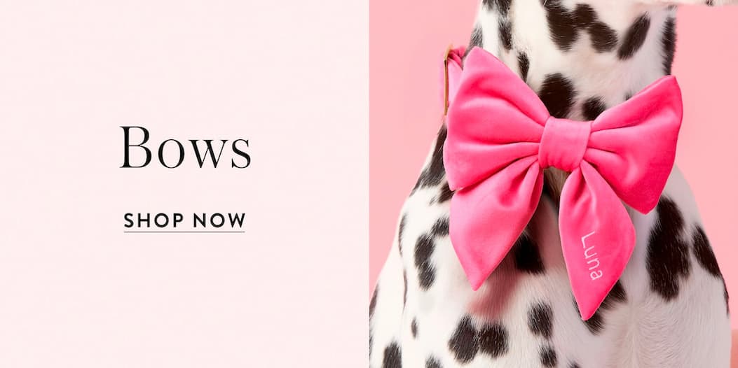 Shop Bows