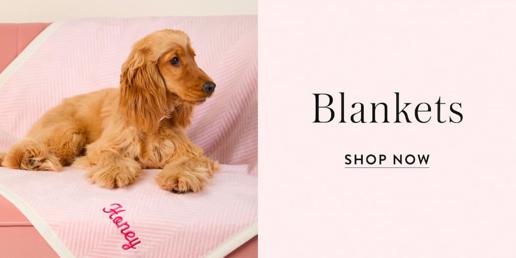Shop Blankets