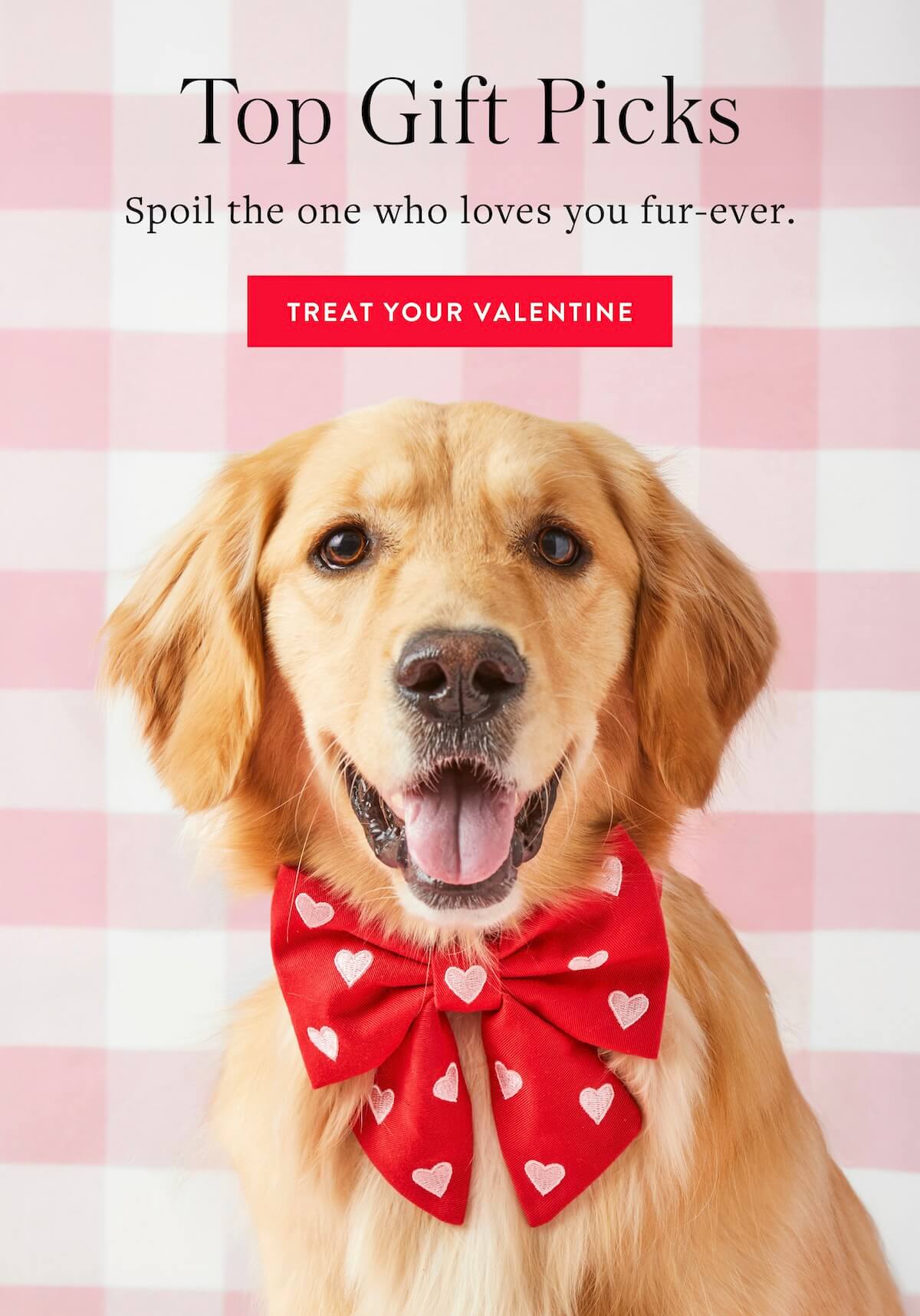 Shop Vday Gifts