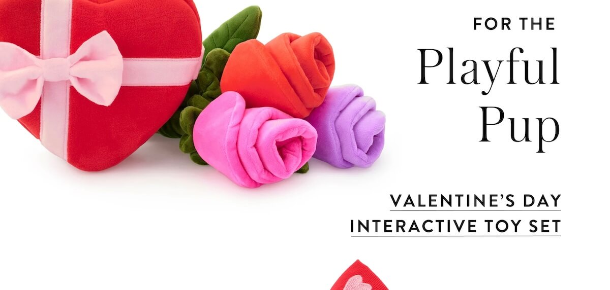 Shop Vday Toy Set