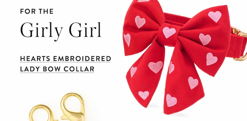 Shop Hearts Embroidered Lady Bow collar