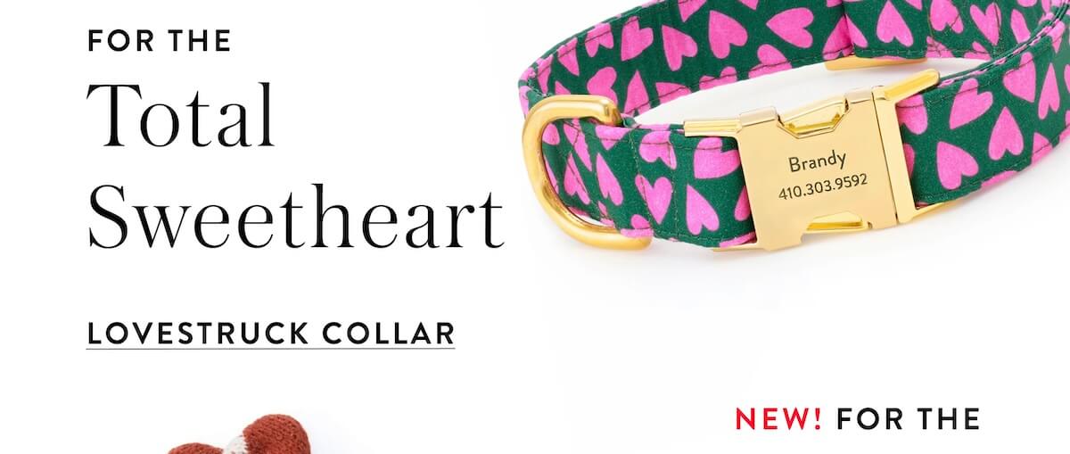 Shop Lovestruck Collar